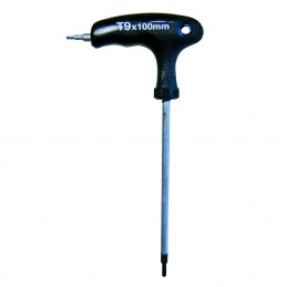 CHIAVE A T TORX (T10)