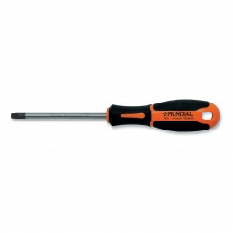 GIRAVITE TORX CON FORO TX 6X60