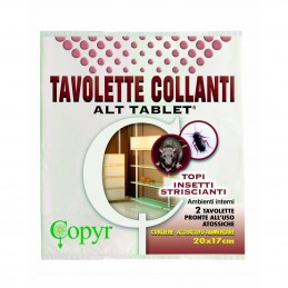 CONF.2 TAVOLETTE COLLANTI